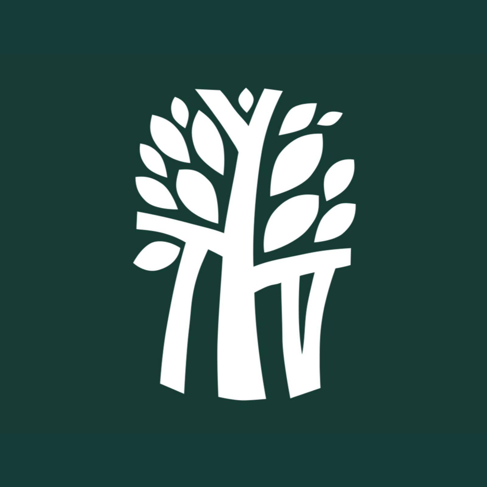 Banyan Tree Dubai